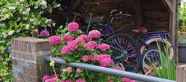 20250627_185341.jpg