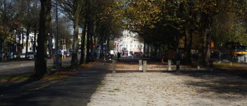 IMG_1149